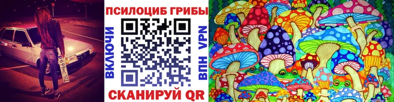 Псилоцибиновые грибы Magic Shrooms Реж