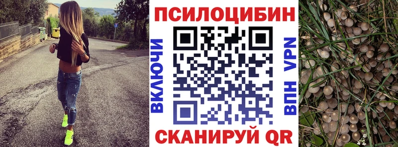 Купить где  Реж  Псилоцибиновые грибы Psilocybe 